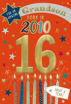 Picture of BORN IN 2010 GRANDSON 16TH BIRTHDAY CARD